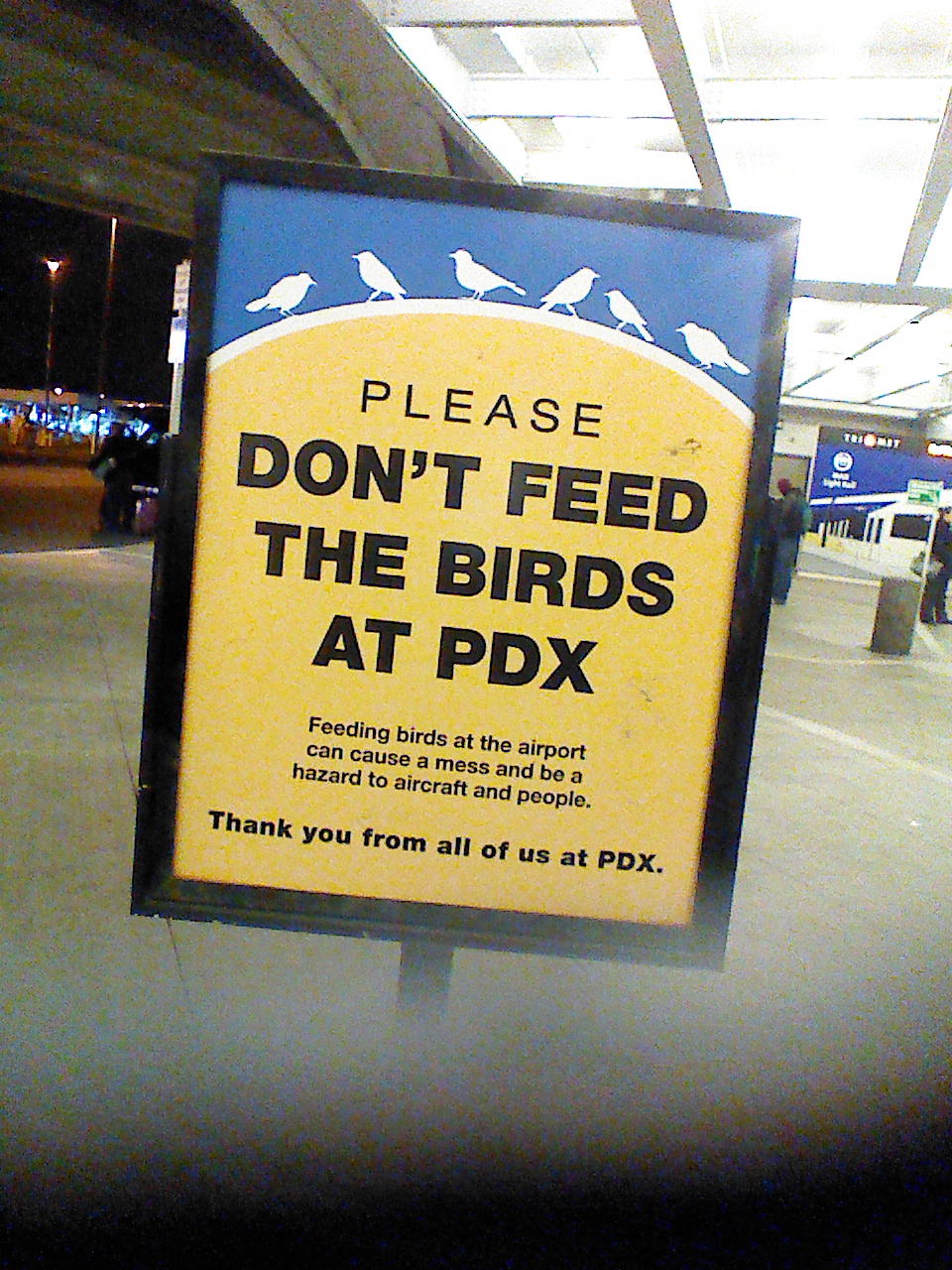 PDX-birds